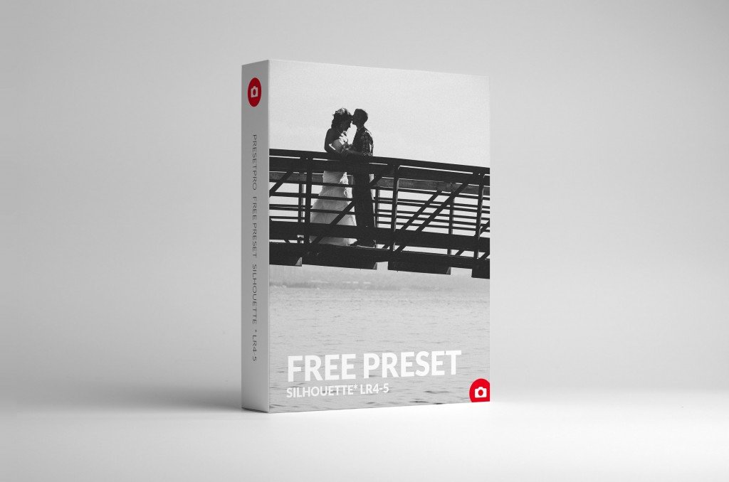 Lightroom Presets Silhouette Box