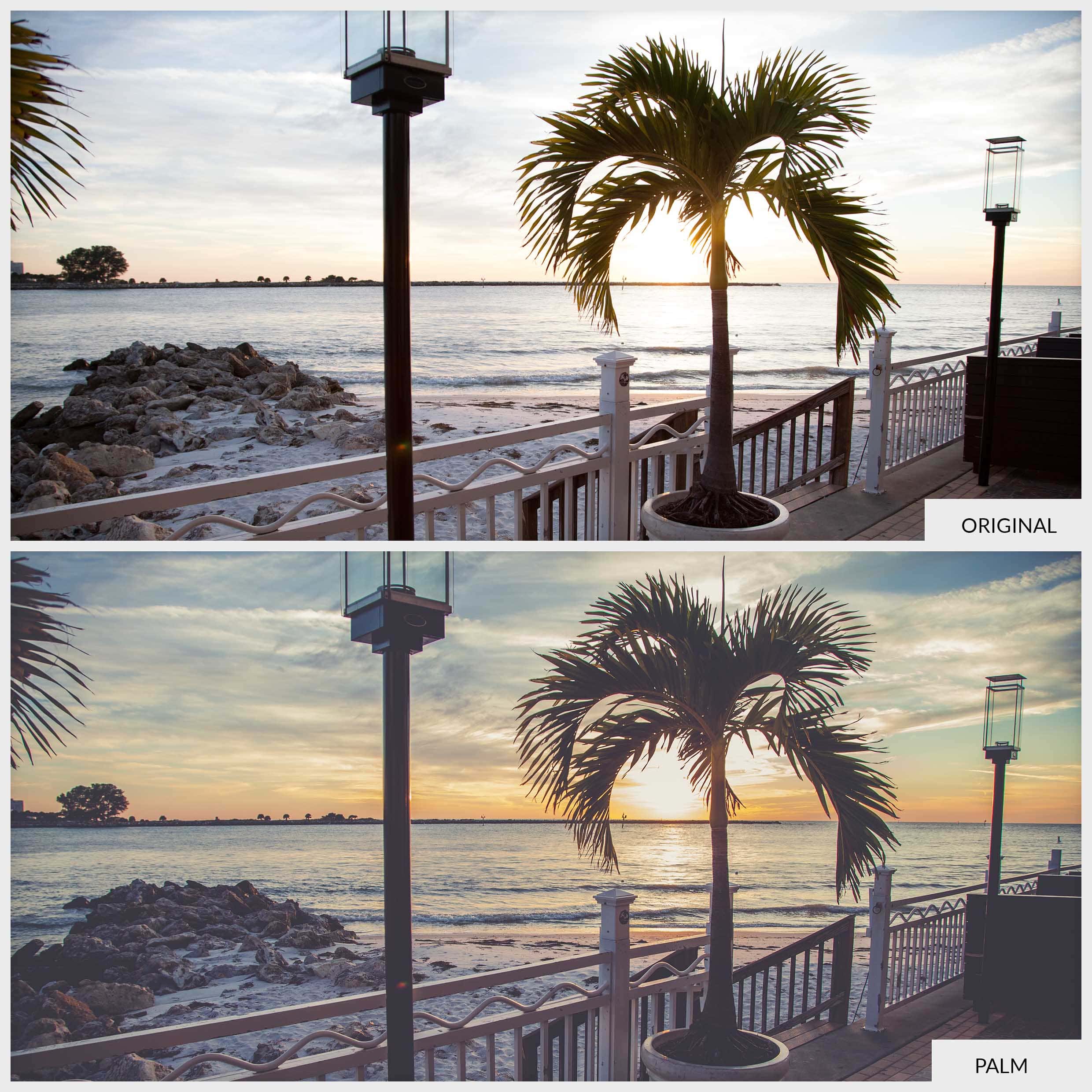 PALM B&A