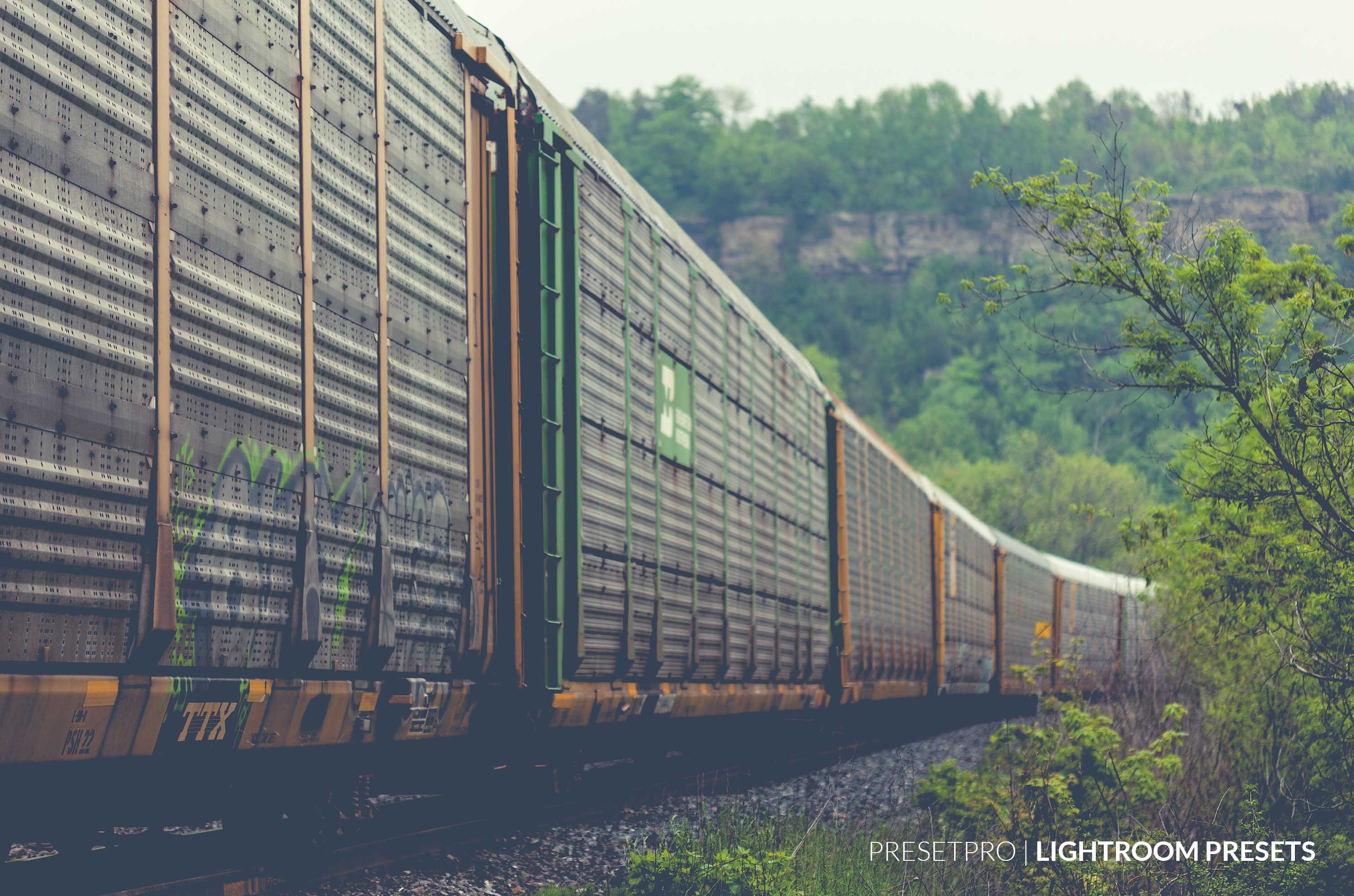 Train Lightroom Preset