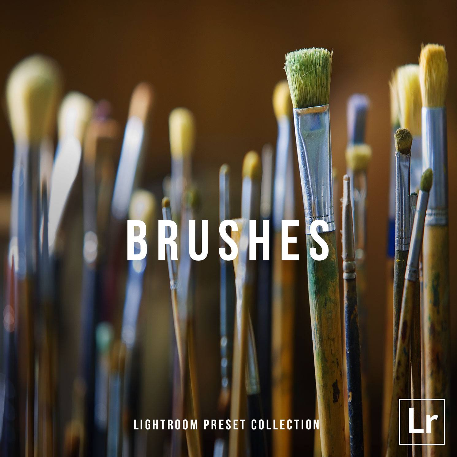lightroom brushes free download