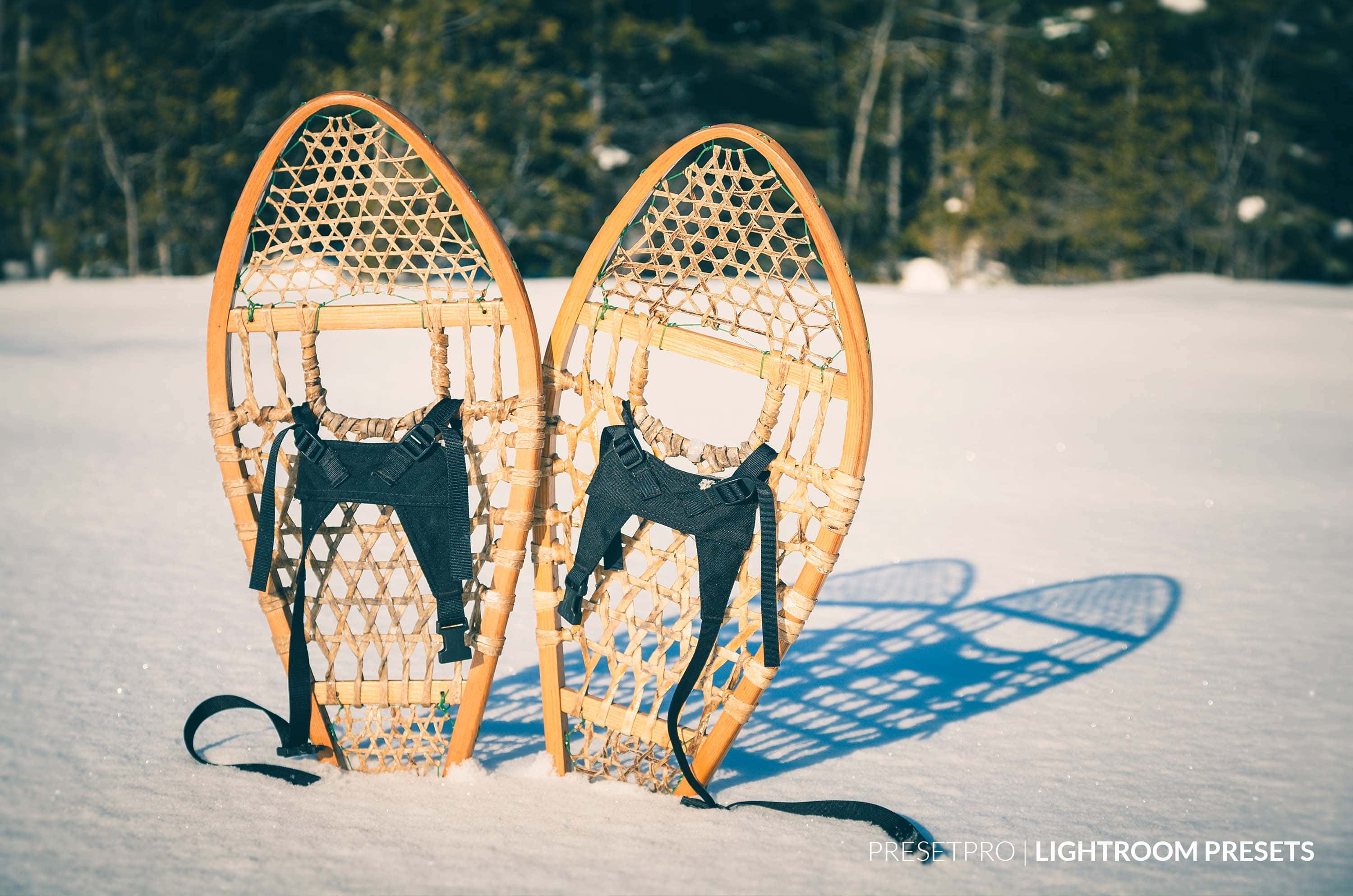 Snowshoe Free Preset