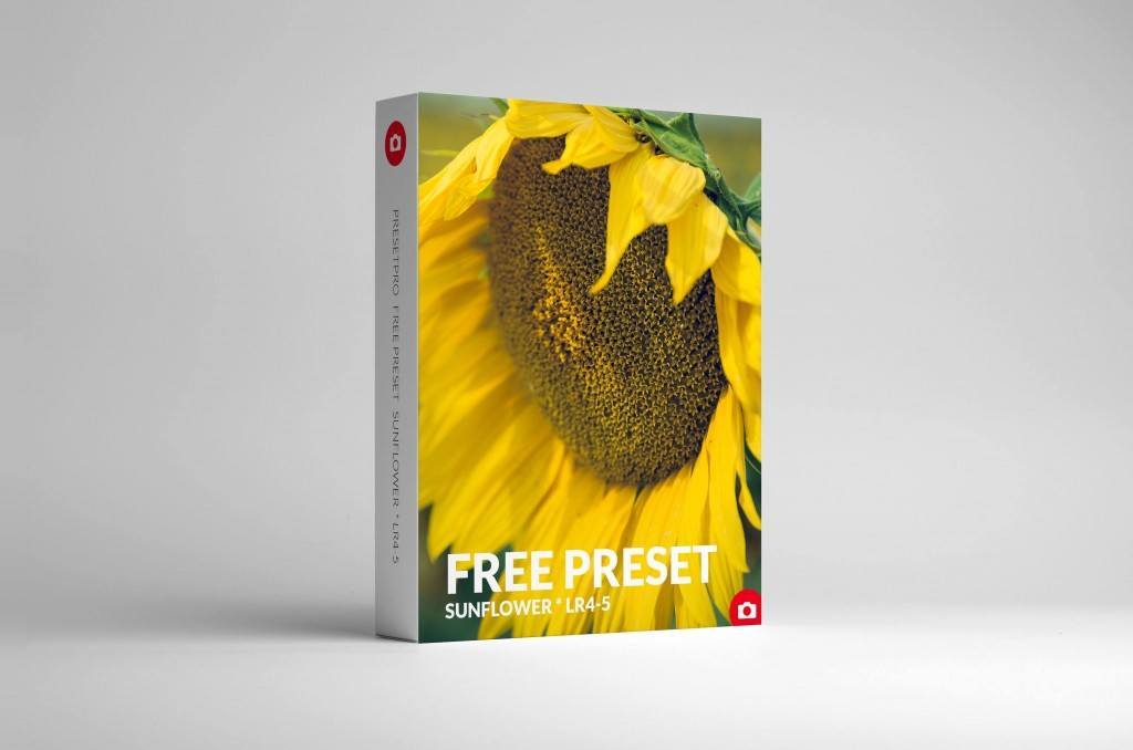 Free Lightroom Preset Sunflower