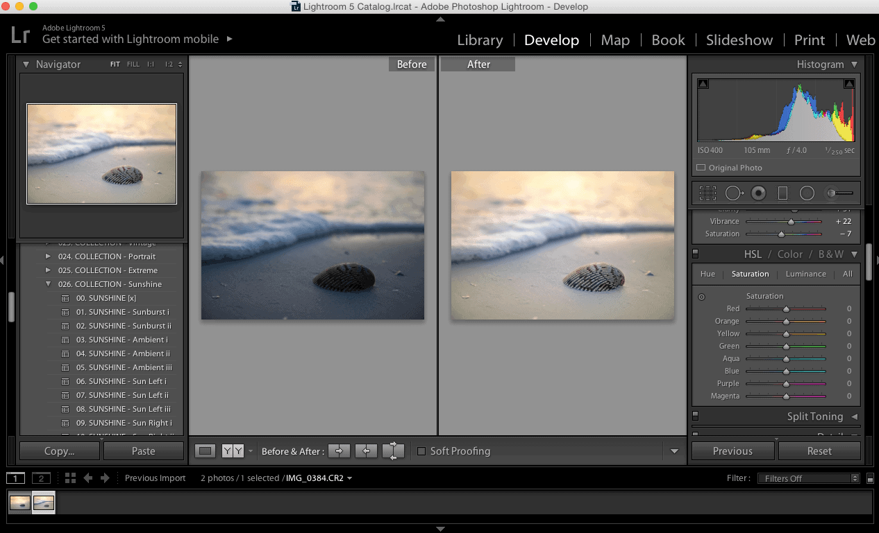 Lightroom Preset: Ambient Light