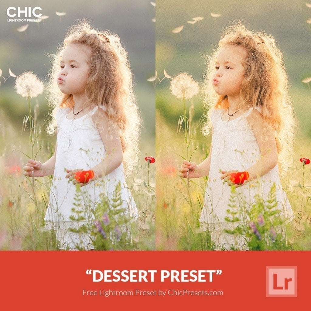 Free-Lightroom-Preset-Dessert