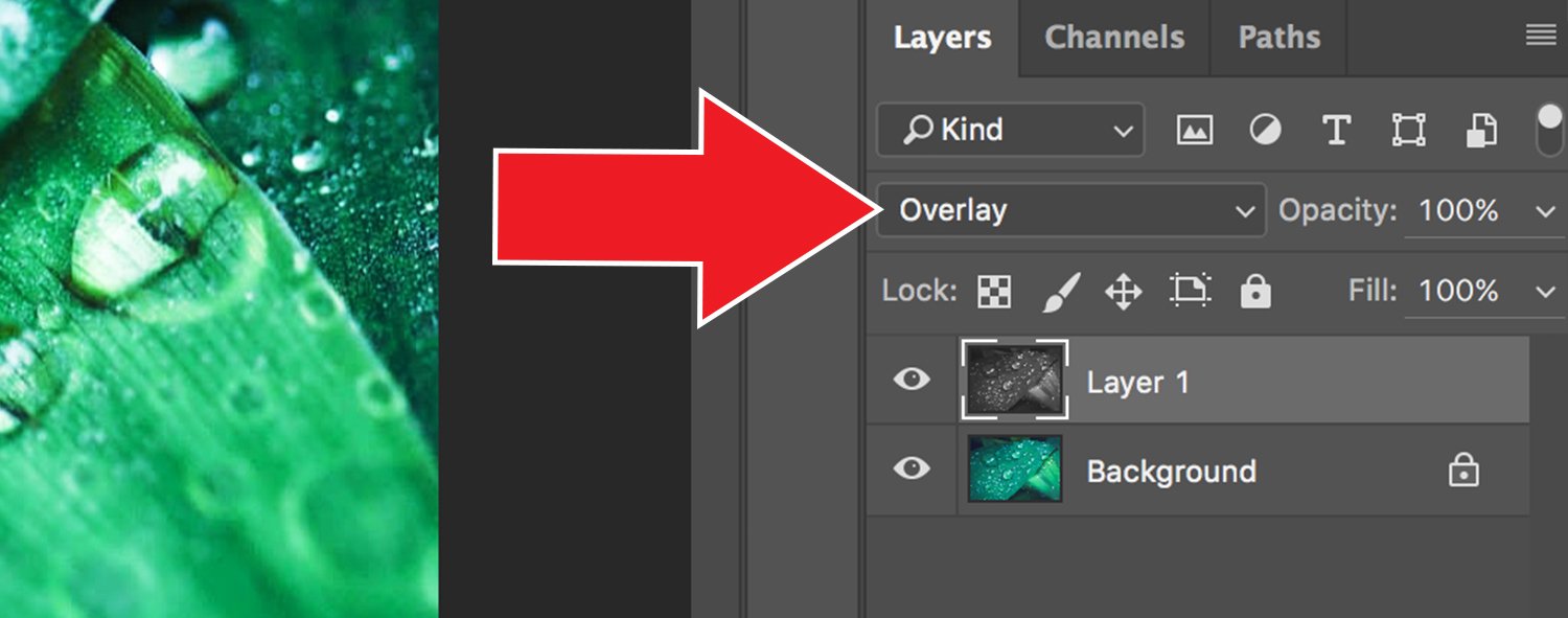 How to Sharpen Images with a High Pass Filter in Photoshop