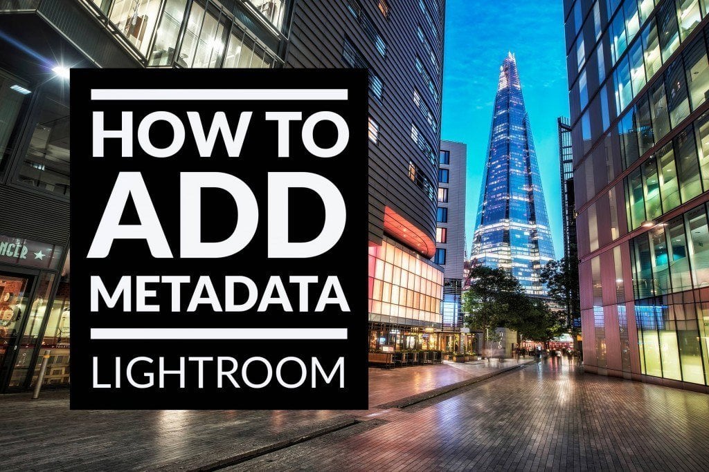 How To Add Metadata to your Photos in Lightroom