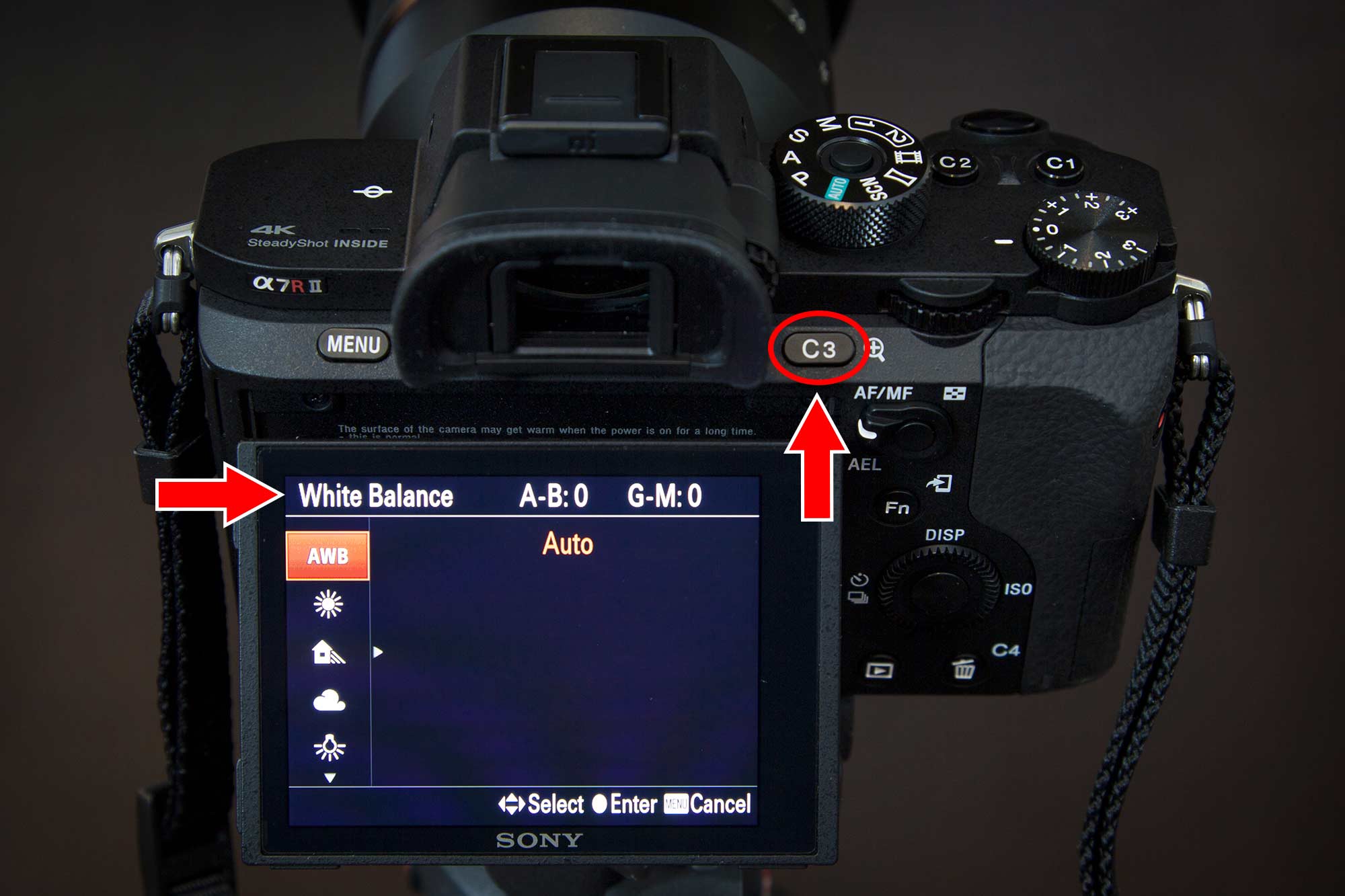 Sony a7r ii Customize Your Buttons White Balance