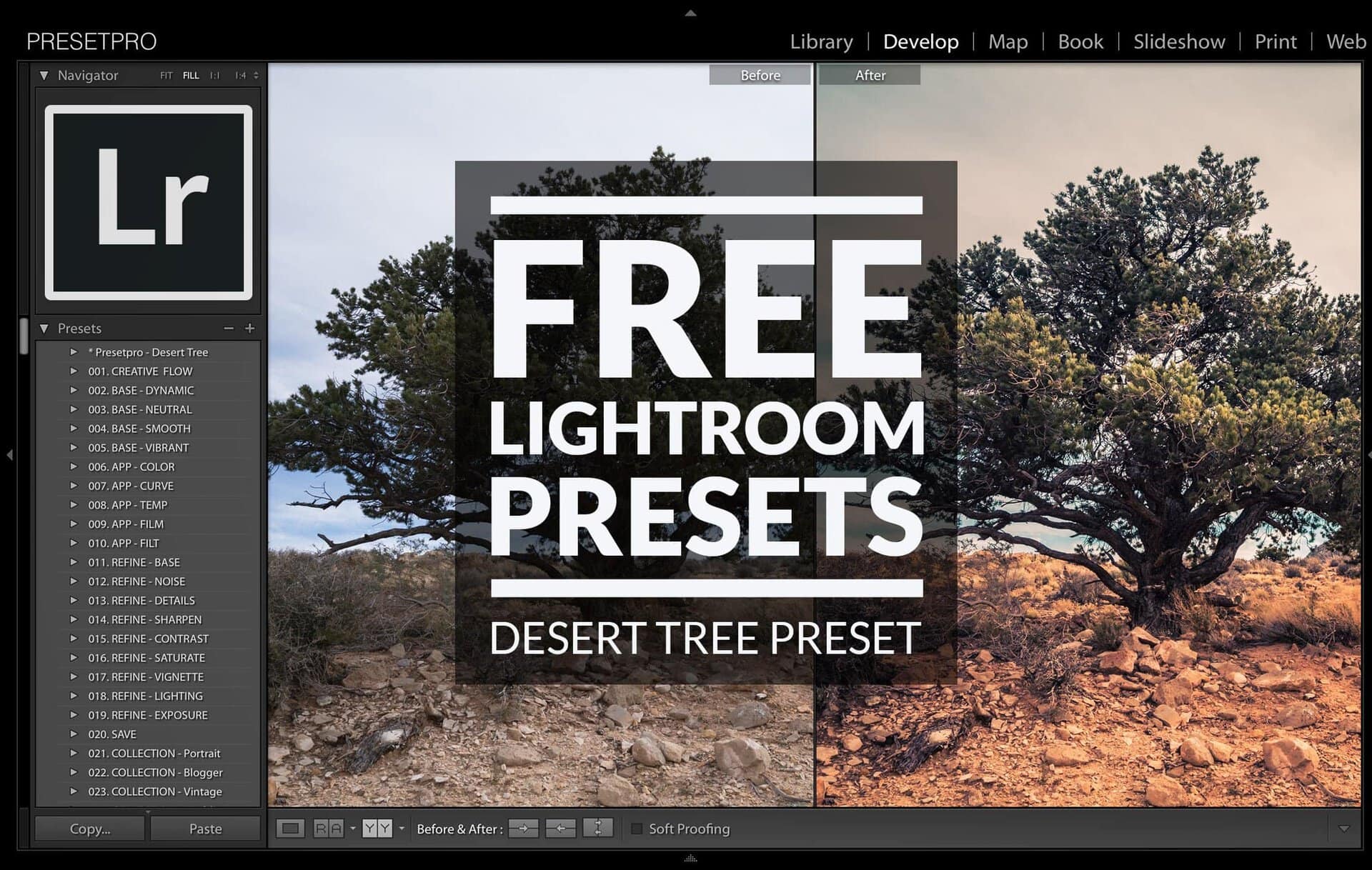 Presetpro | Free Lightroom Preset Desert Tree