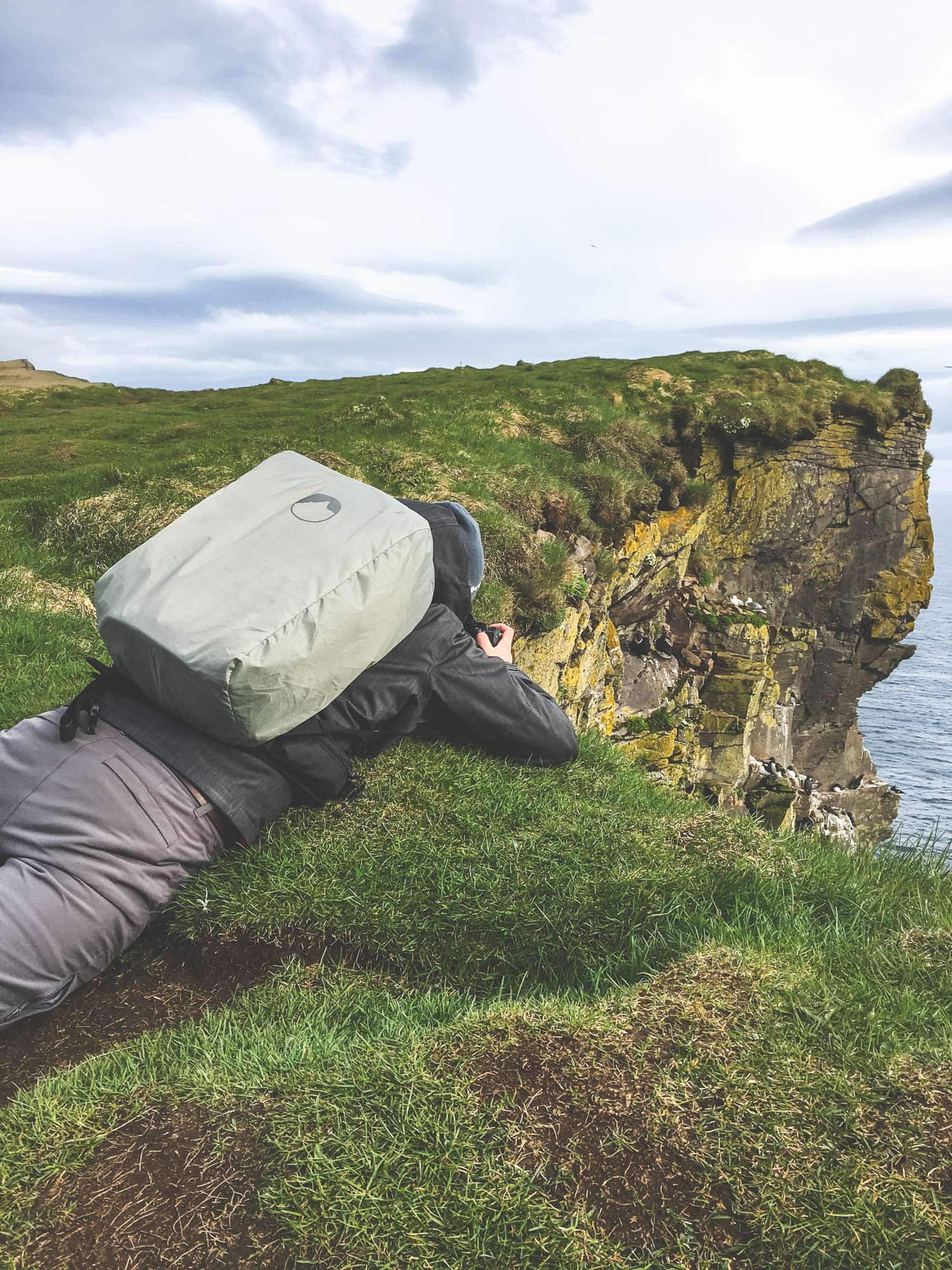 Behind-the-Scenes-Iceland-Puffins