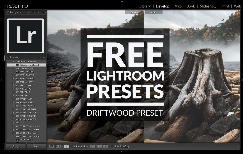 Free-Lightroom-Preset-Driftwood-Cover