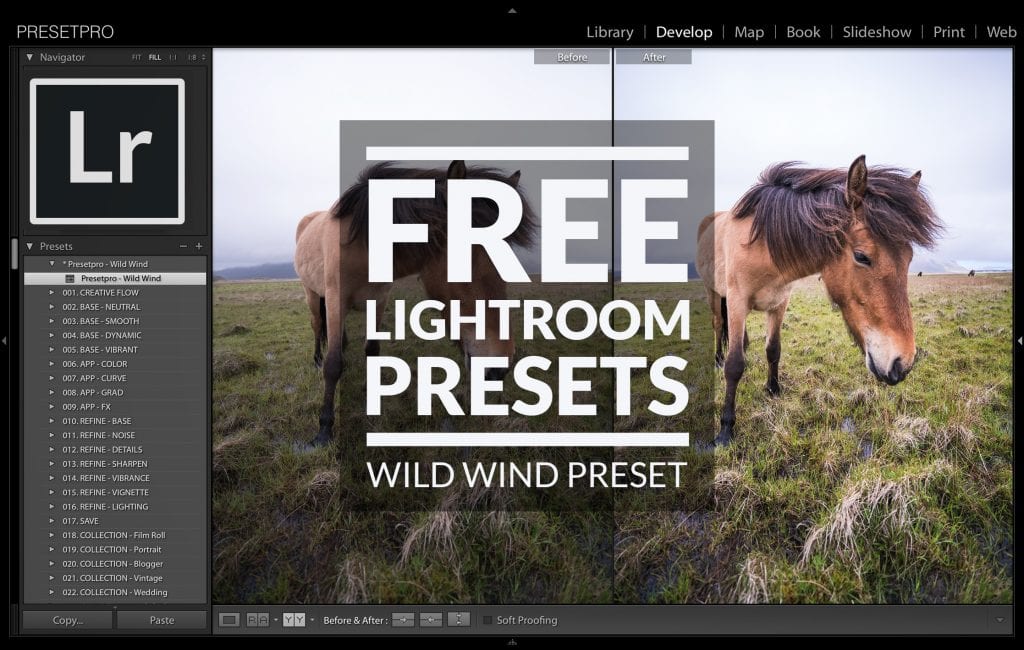 Free-Lightroom-Preset-Wild-Wind