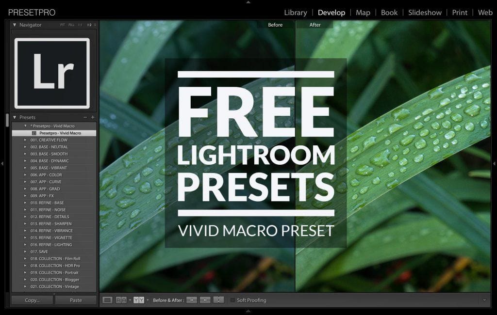 Free Lightroom Preset Vivid Macro Presetpro