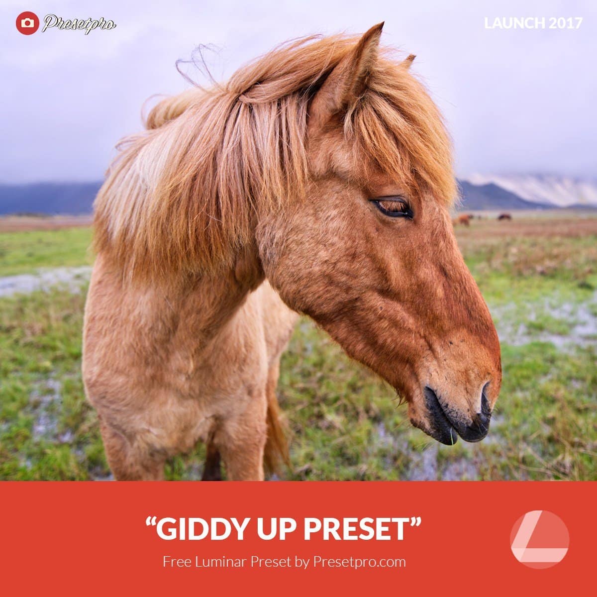 Free-Luminar-Preset-Giddy-Up-Presetpro.com_