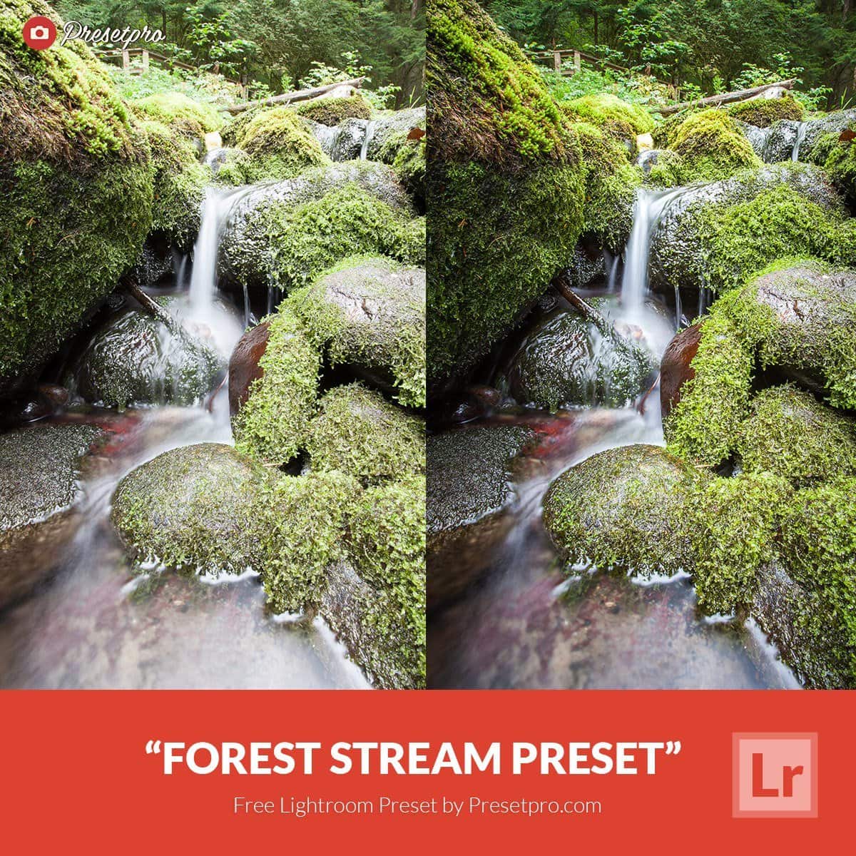 Free-Lightroom-Preset-Forest-Stream