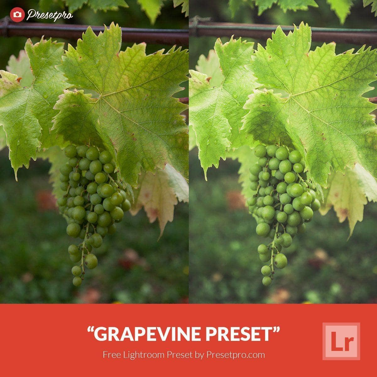 Free-Lightroom-Preset-Grapevine