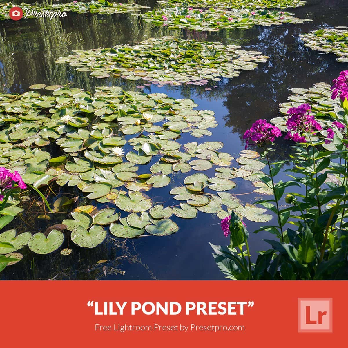 Free-Lightroom-Preset-Lily-Pond-Presetpro.com_