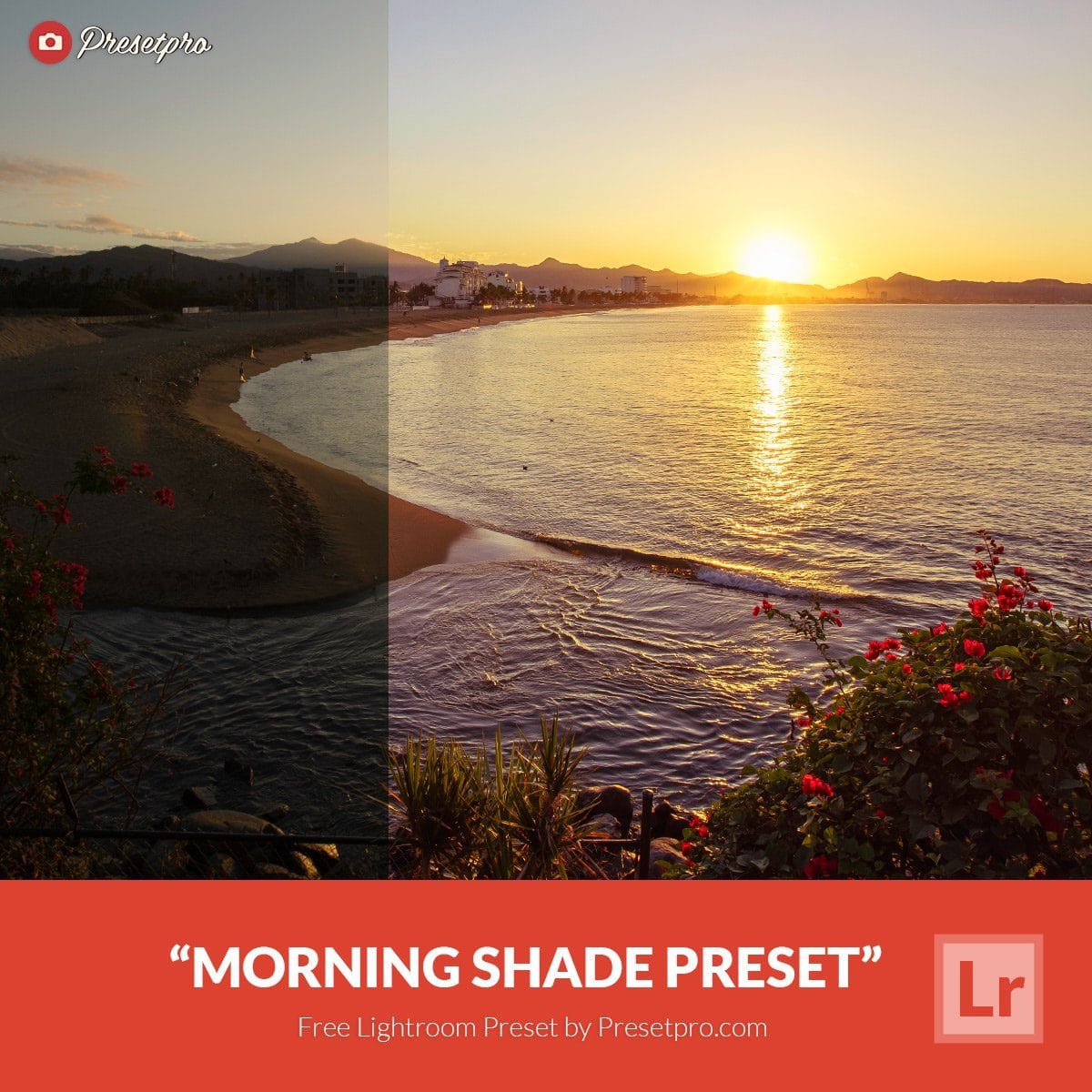 Free-Lightroom-Preset-Morning-Shade