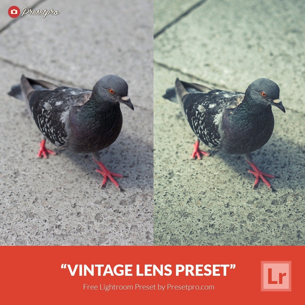 Free-Lightroom-Preset-Vintage-Lens