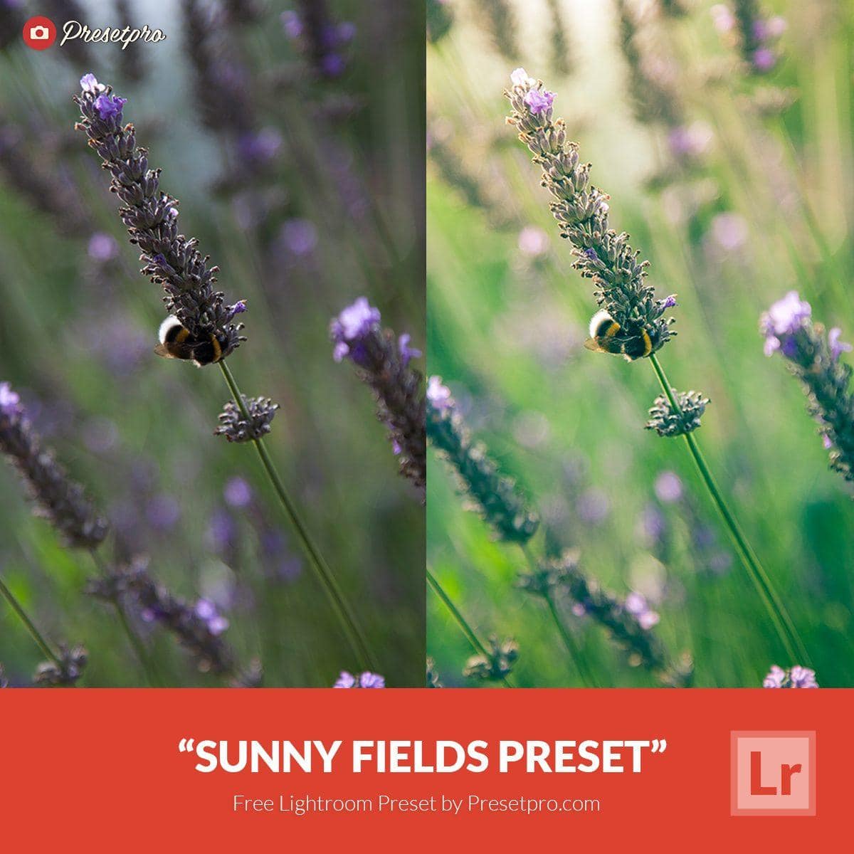 Free-Lightroom-Presets-Sunny-Fields