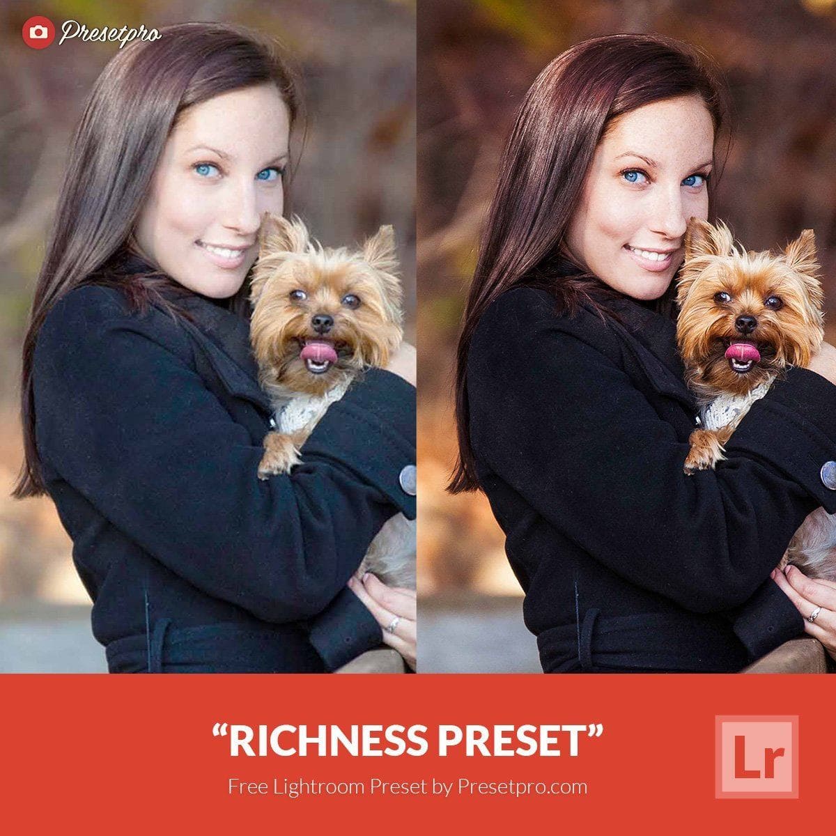 Free lightroom Preset Richness