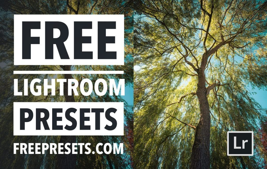 Free Lightroom Preset Willow