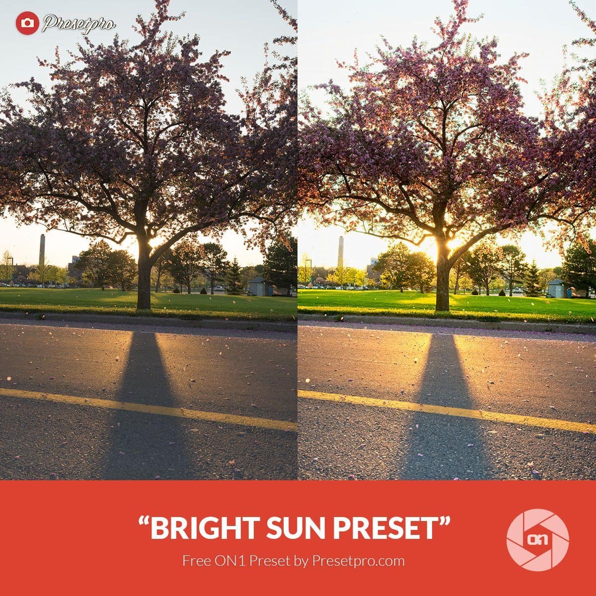 Free-On1-Preset-Bright-Sun-Presetpro.com