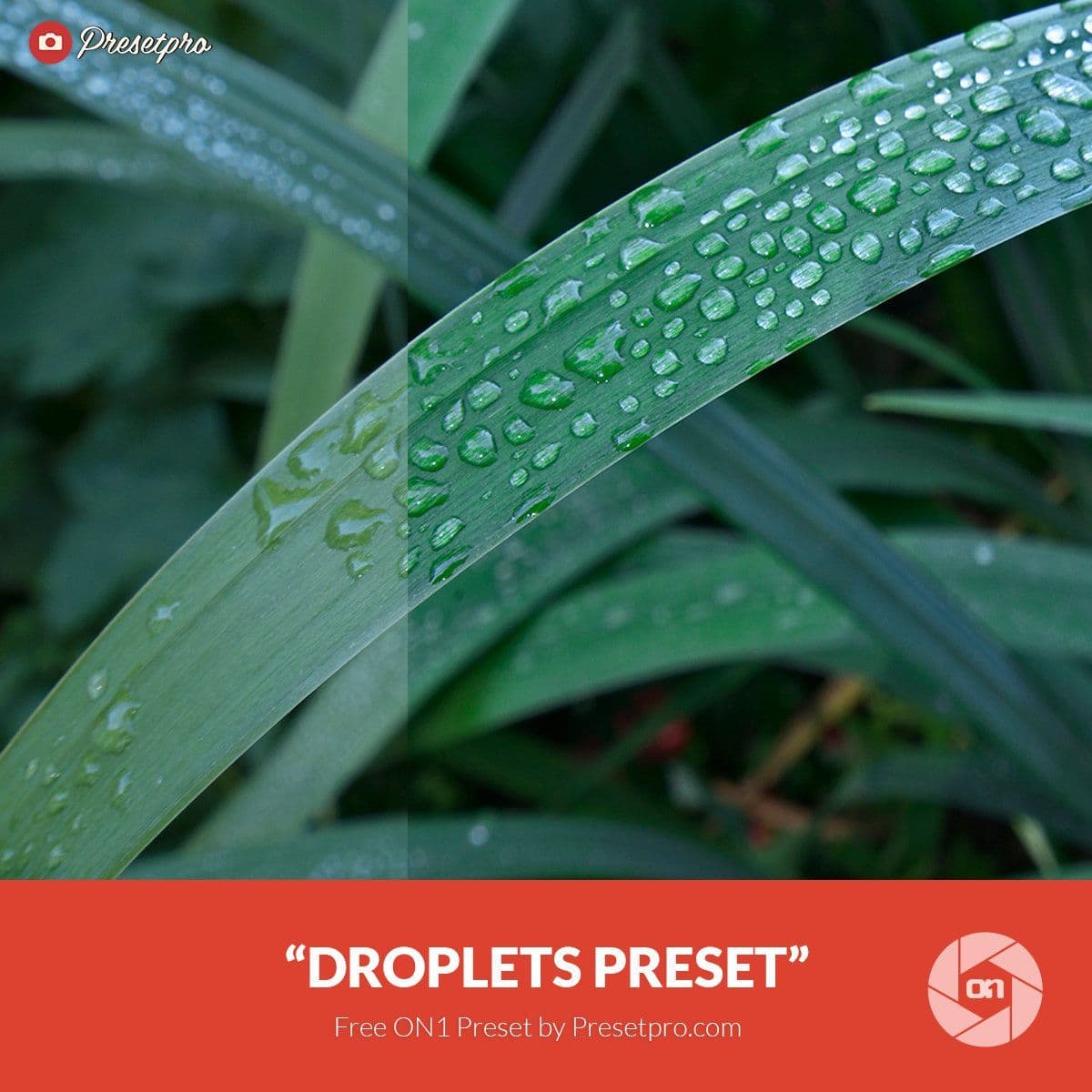 Free-On1-Preset-Droplets-Presetpro.com