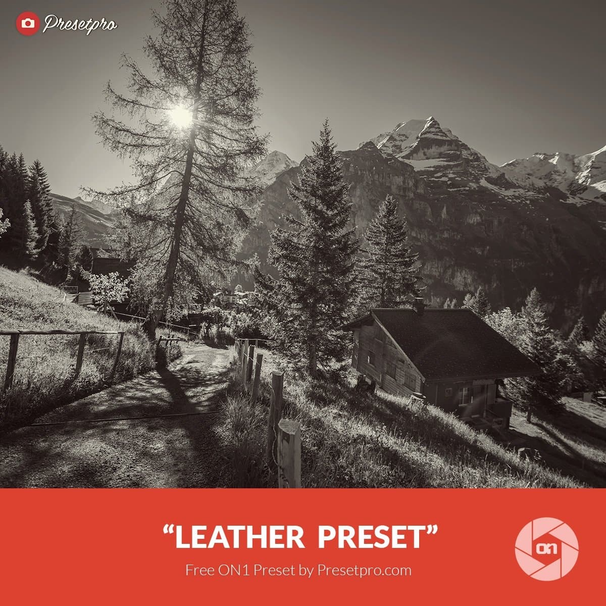 Free-On1-Preset-Leather-Presetpro.com