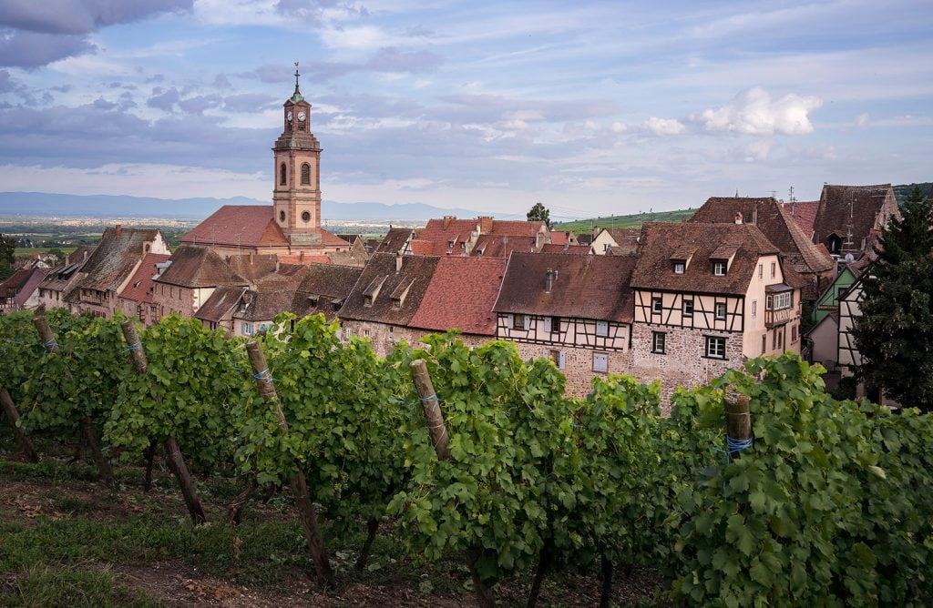 Landscape-Photography-French-Vineyards-Presetpro.com