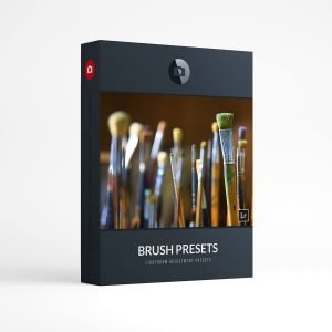 Beautiful Lightroom Presets Brush Collection Presetpro.com