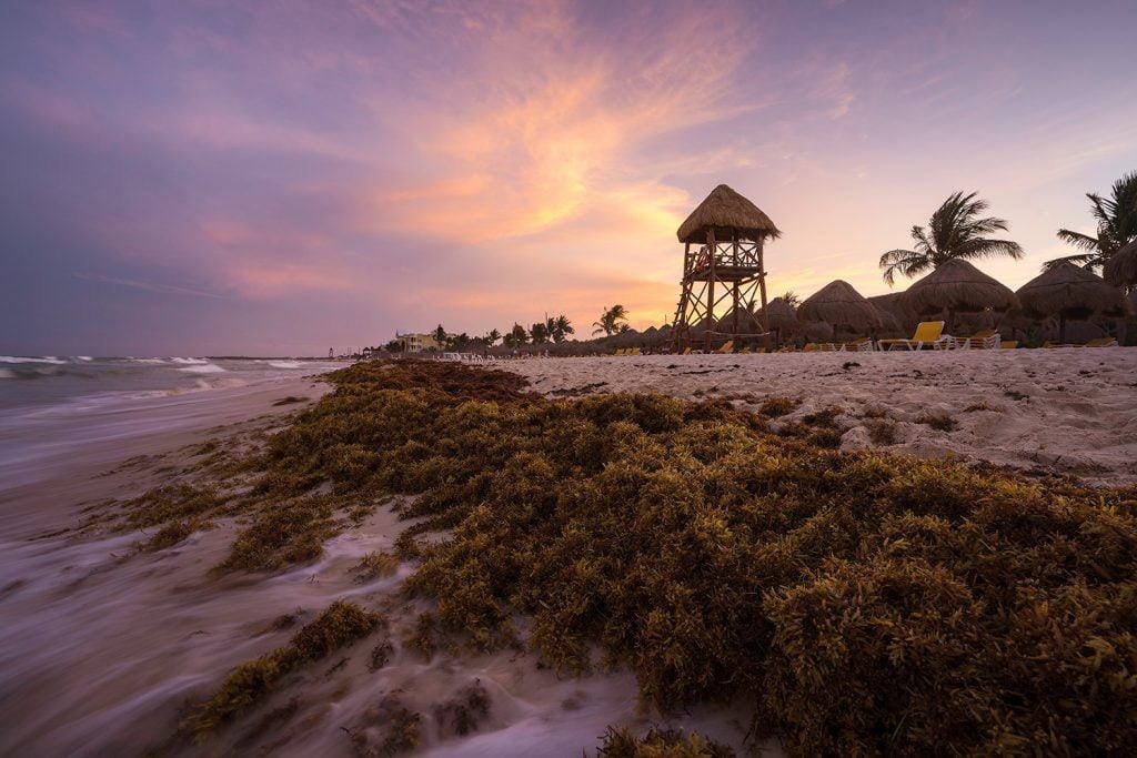 Landscape Photography Surf's Up Mexico Presetpro.com