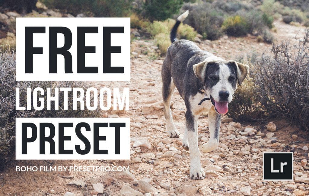 Free-Lightroom-Preset-Boho-Film-by-Presetpro.com