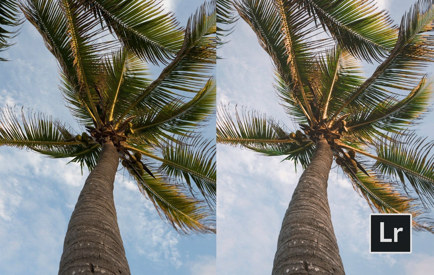 Free-Lightroom-Preset-Cali-Color-Before-and-After-Presetpro.com