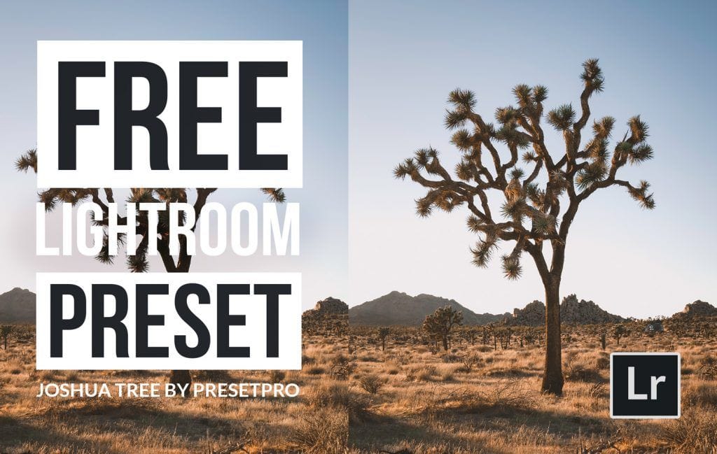 Free-Lightroom-Preset-Joshua-Tree-Cover