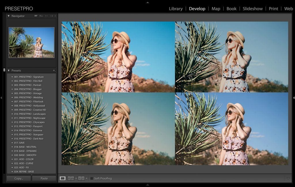 5-Creative-Looks-in-Lightroom-Joshua-Tree-Presetpro.com