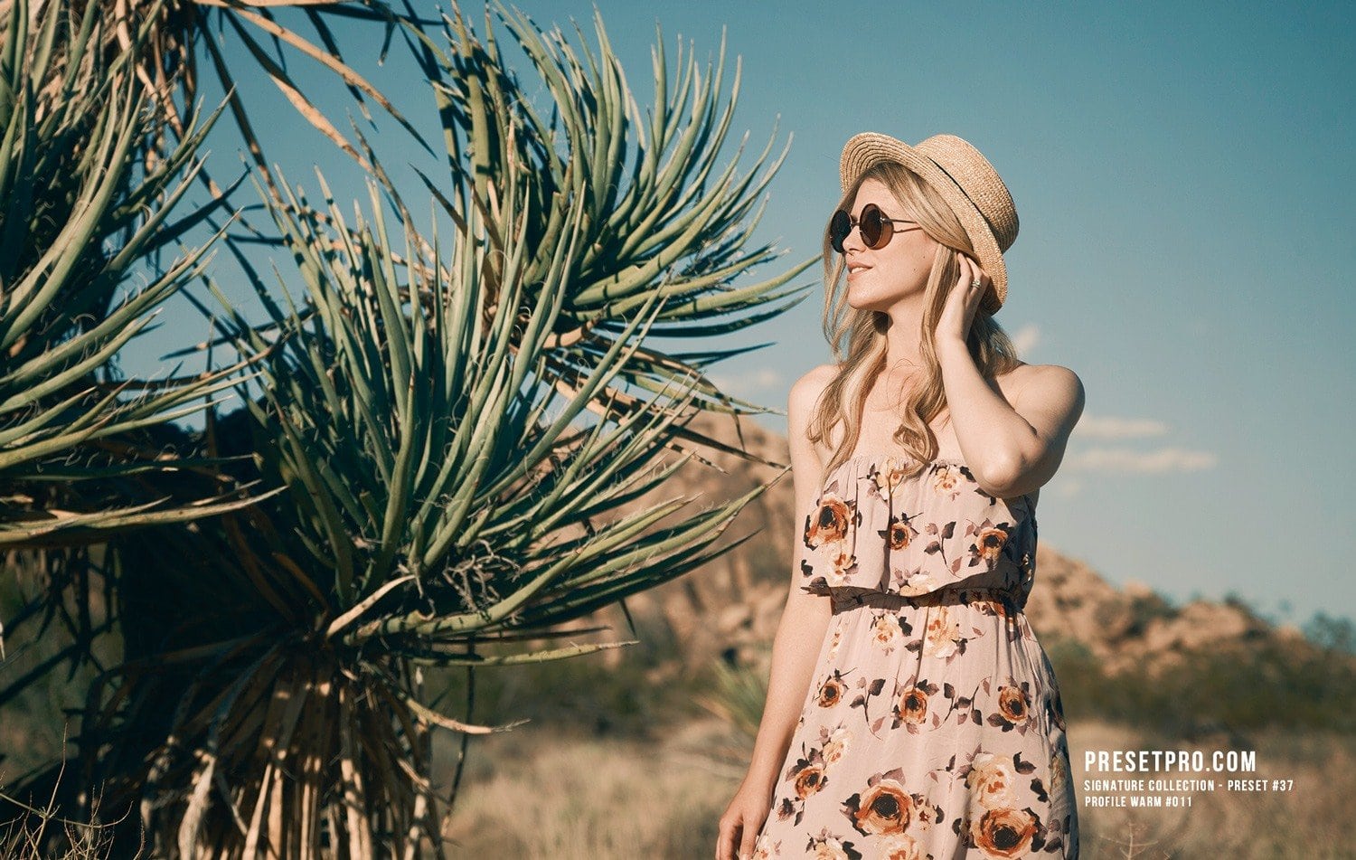 Creative-Flow-Lightroom-Presets-and-Profiles-Joshua-Tree-Presetpro