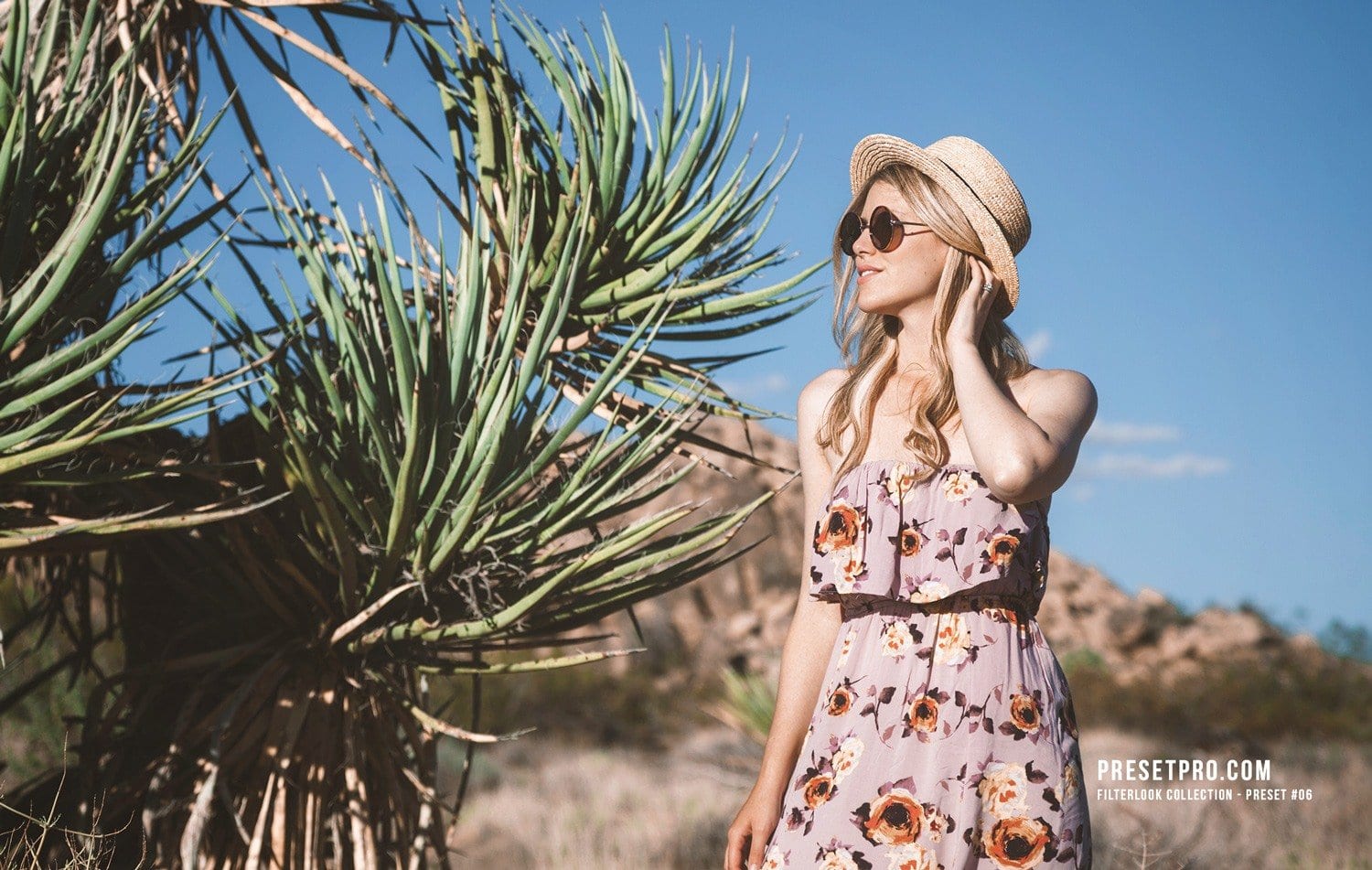 Creative-Flow-Lightroom-Presets-and-Profiles-Joshua-Tree-Presetpro