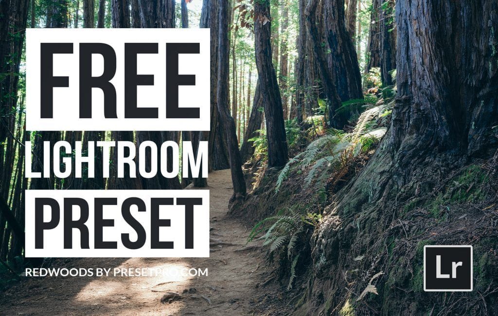 Free-Lightroom-Preset-Redwoods-Presetpro-Cover