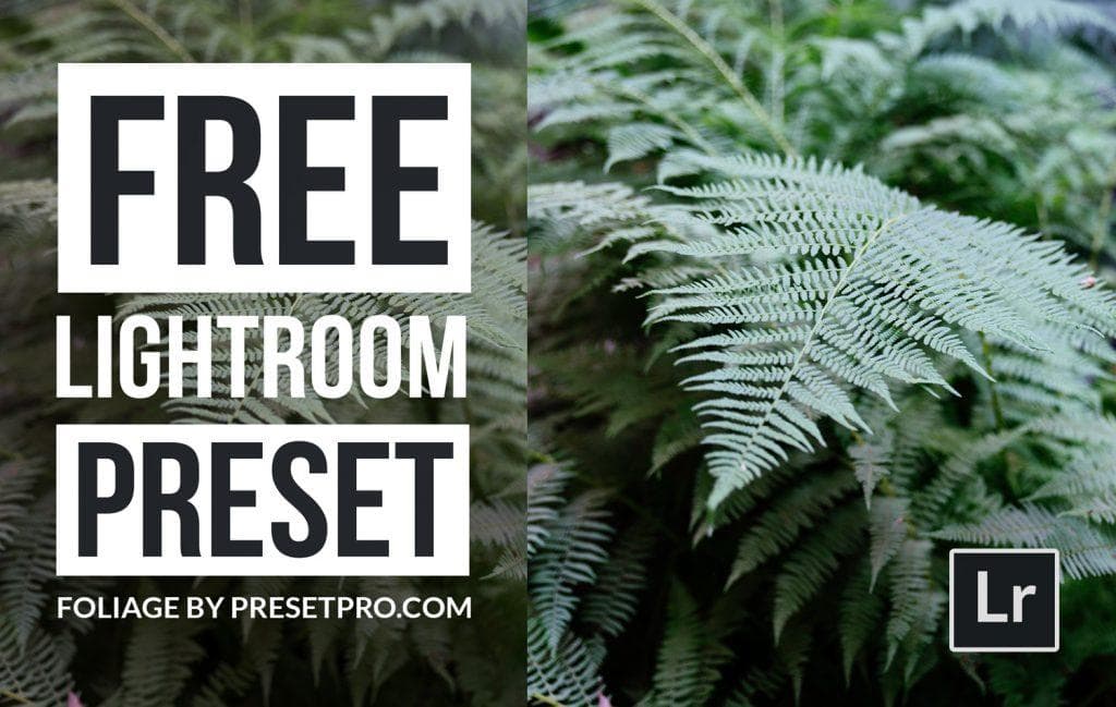 Free-Lightroom-Preset-Foliage-Cover-Presetpro.com