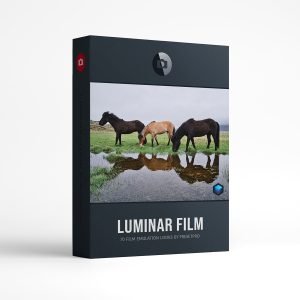 Luminar Film Emulation Looks by Presetpro.com