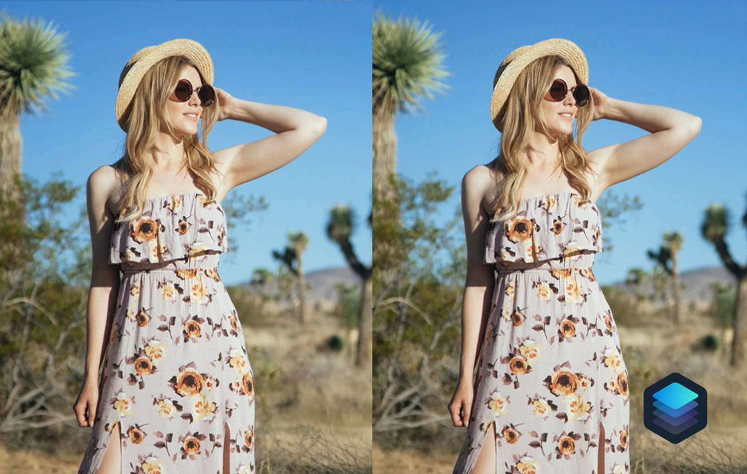 Luminar-Portrait-Looks-Collection-by-Presetpro.com