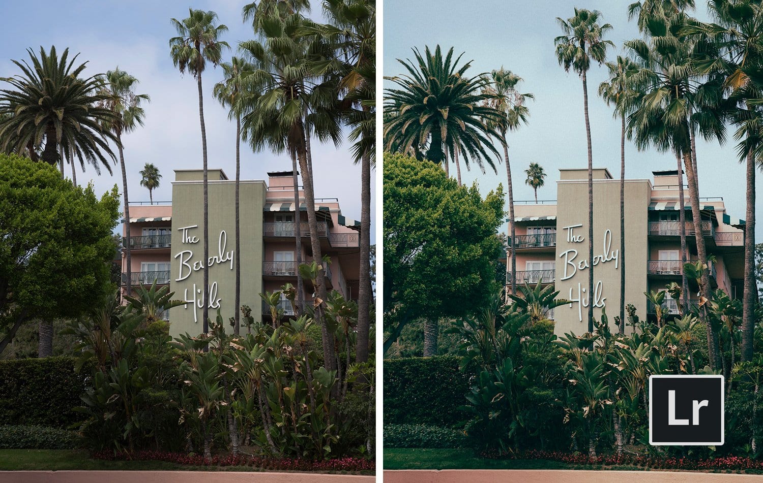 Free-Lightroom-Preset-Before-and-After-Presetpro.com