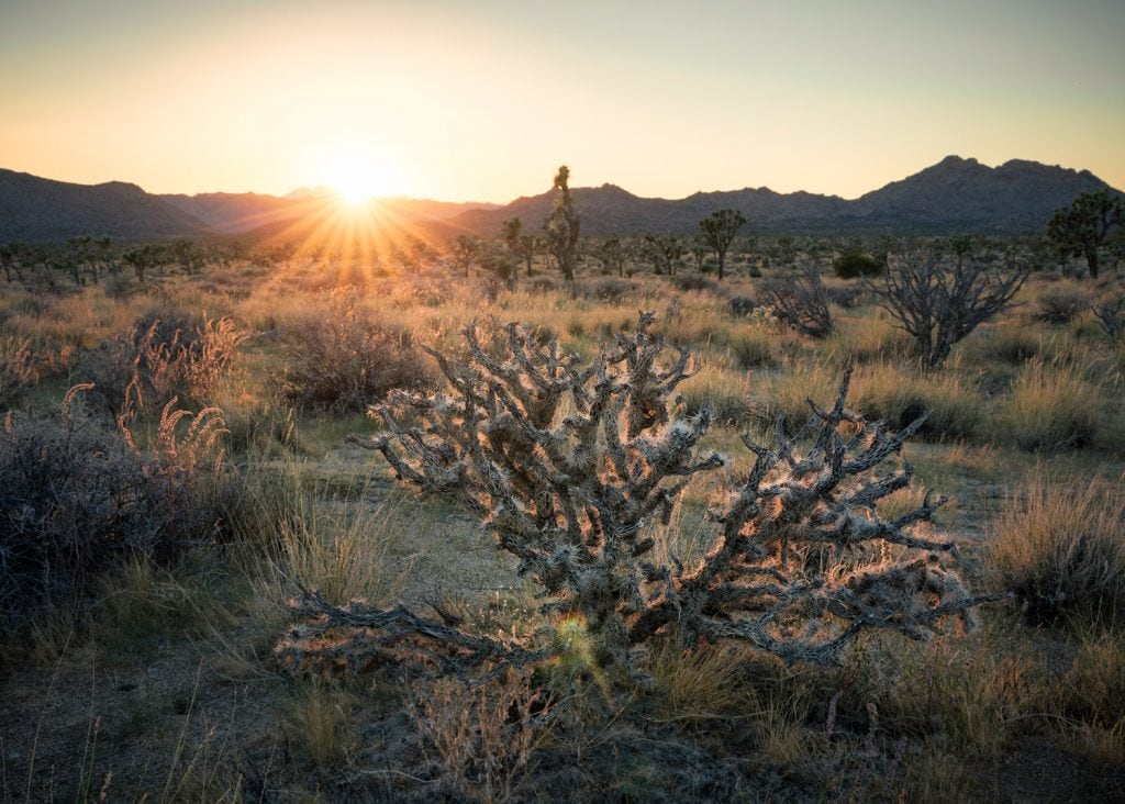 Landscape-Photography-Desert-Sundown-Presetpro.com