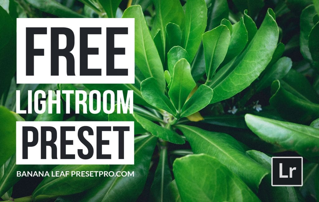 Free-Lightroom-Preset-Banana-Leaf-Cover-Presetpro.com