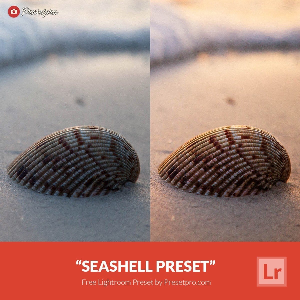 Free-Lightroom-Preset-Seashell-Presetpro.com