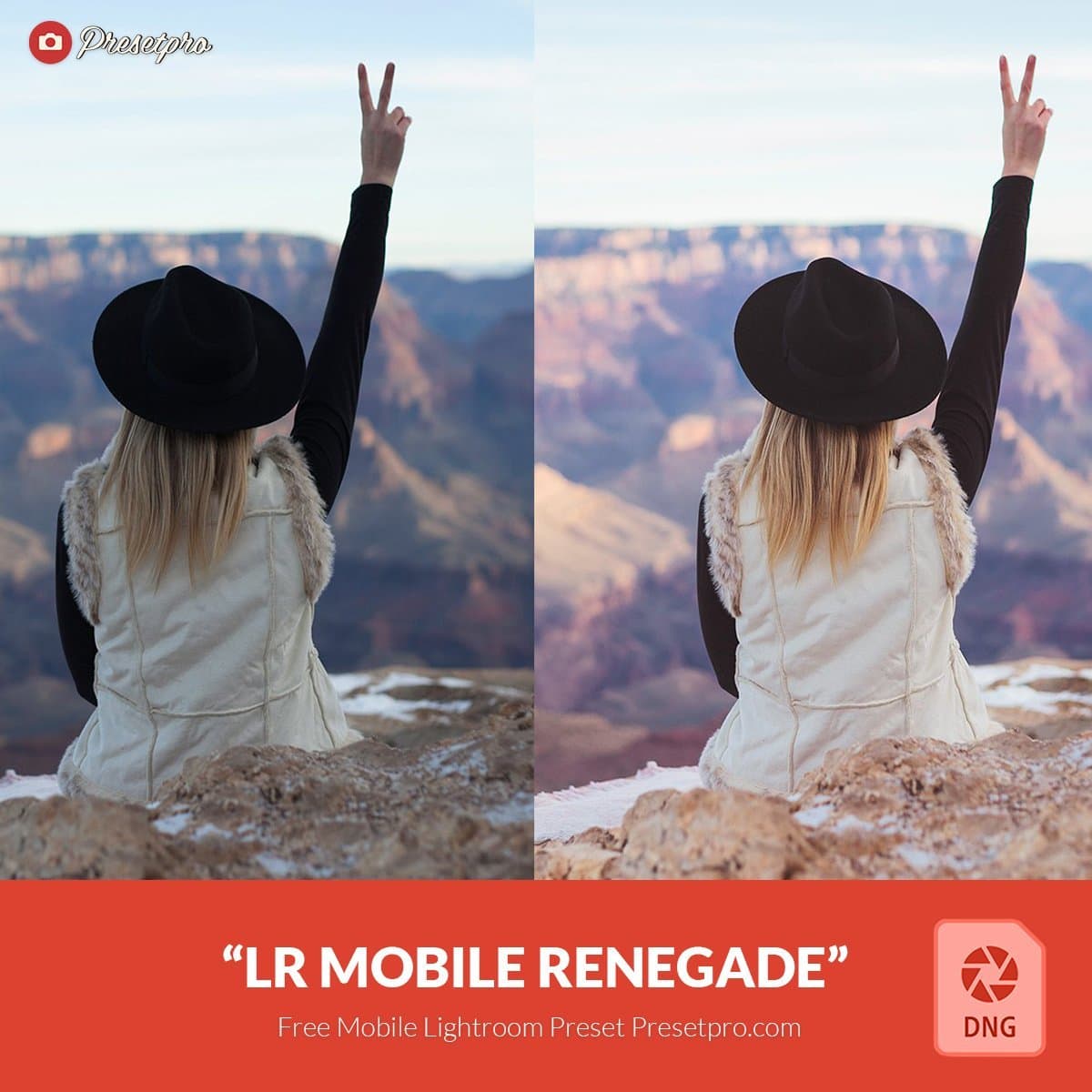 Free-Mobile-DNG-Presets-for-Lightroom-Mobile-Renegade-Presetpro.com