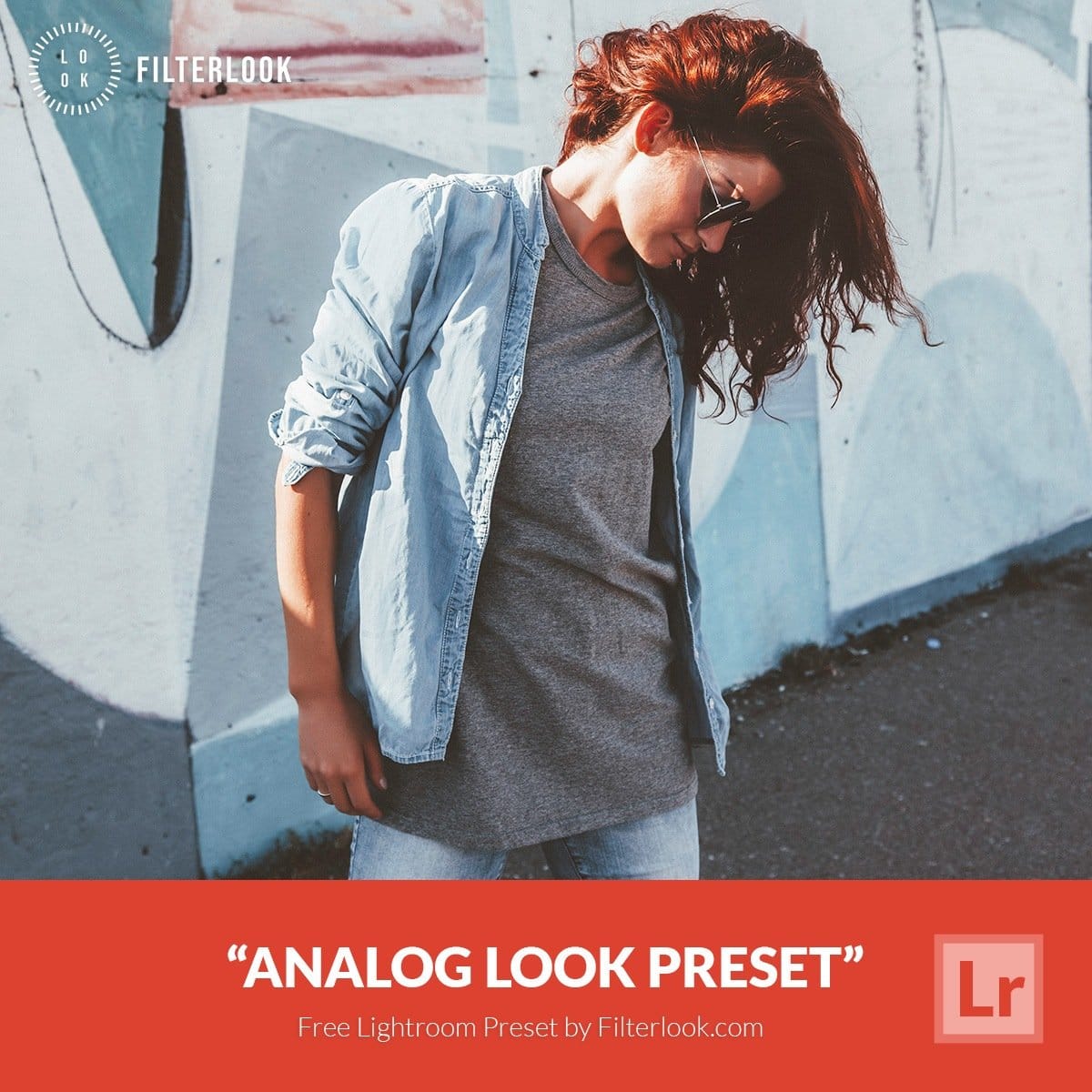 Free-Lightroom-Preset-Analog-Look-Filterlook.com