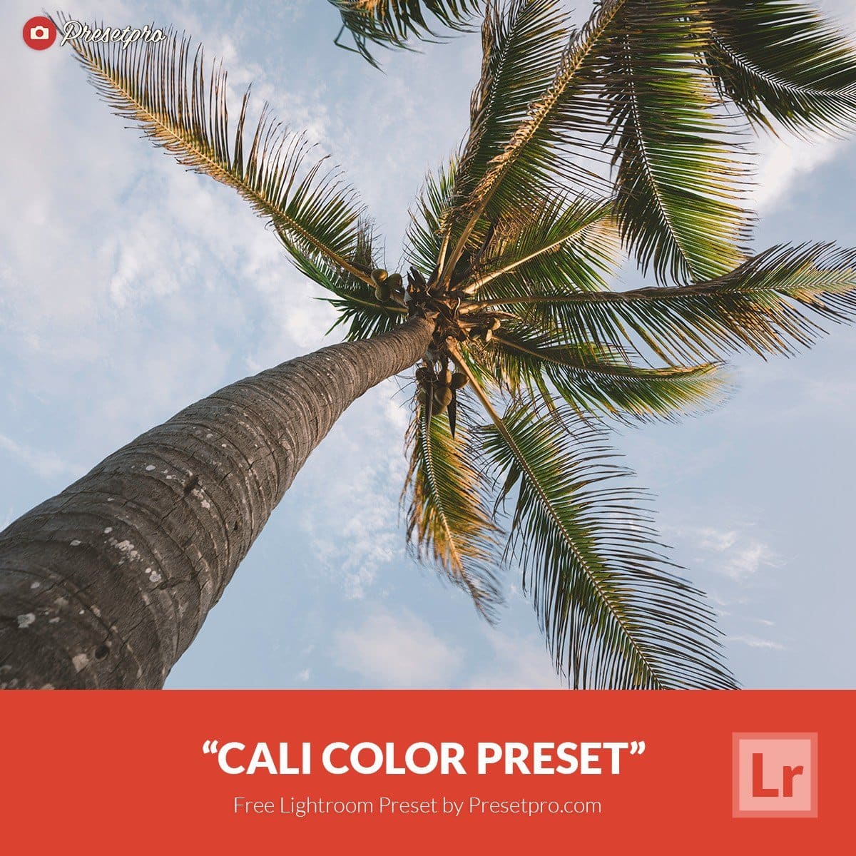 Free-Lightroom-Preset-Cali-Color-Presetpro.com