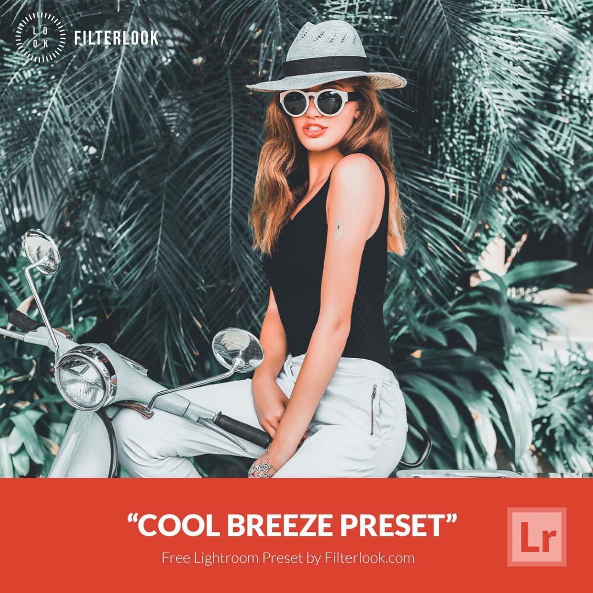 Free-Lightroom-Preset-Cool-Breeze-by-Filterlook.com