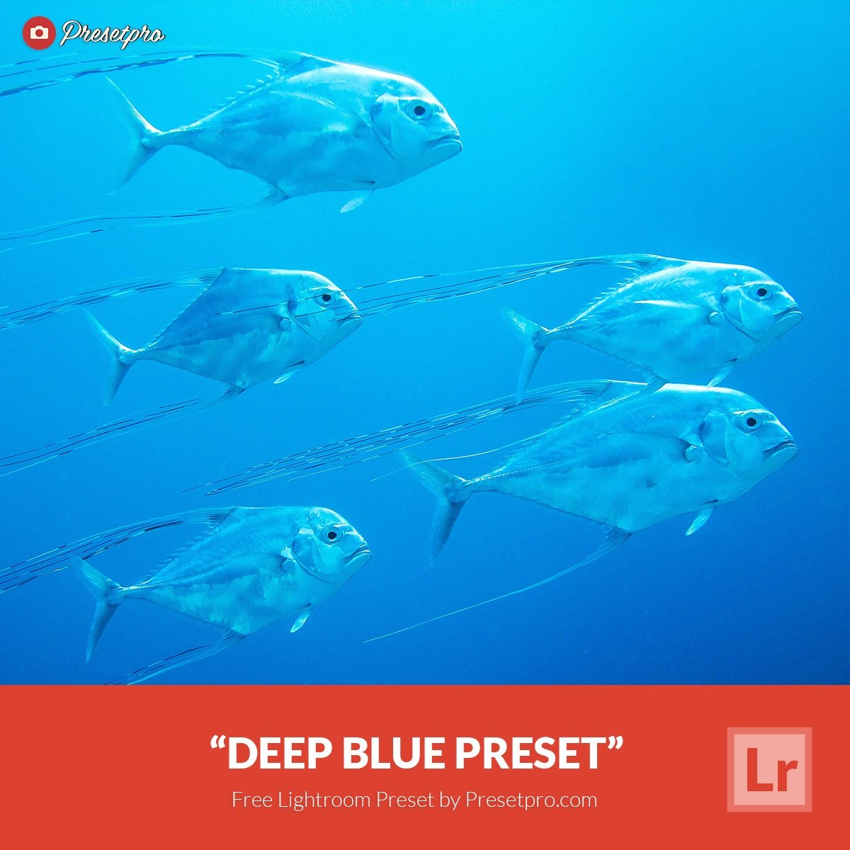 Free-Lightroom-Preset-Deep-Blue-Presetpro.com_